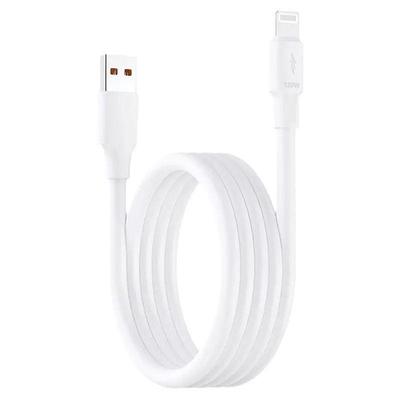 适用于苹果100W加粗数据线神龙线