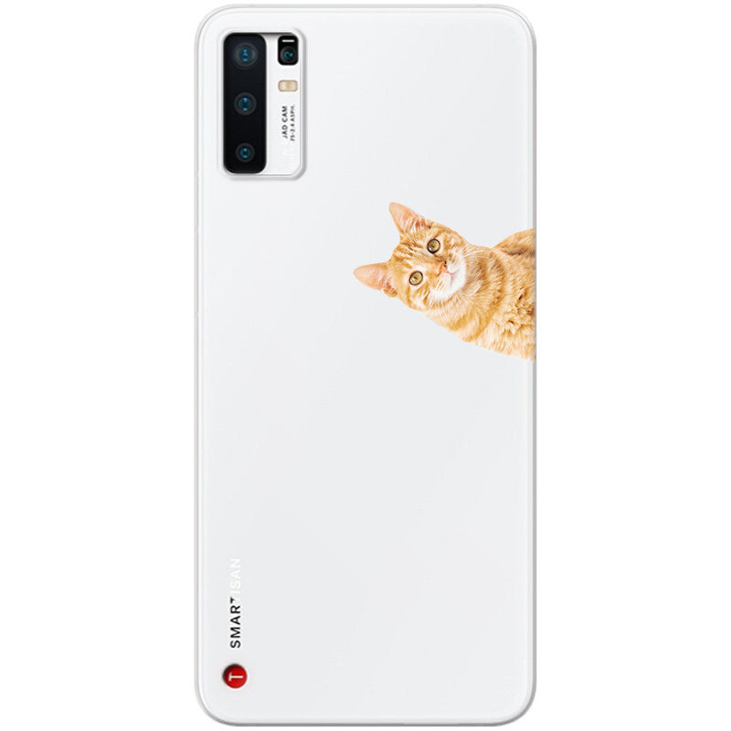 可爱肥橘猫适用锤子坚果pro3手机壳R2透明英短猫咪简约轻薄耐脏女款全包软