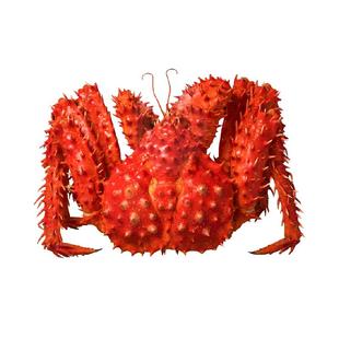 超大帝王蟹智利进口熟冻海鲜蟹腿海鲜水产特大螃蟹皇帝蟹过节礼盒