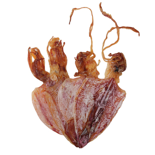 湛江鱿鱼干烧烤批发常用淡干手撕芥末碳烤鱿鱼正宗海鲜干货鱿鱼片