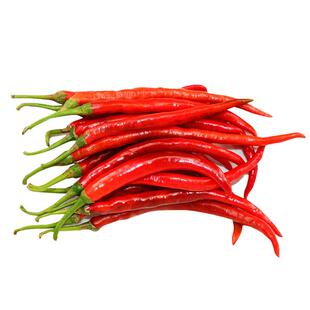 美人椒种子长辣椒种籽特辣超辣薄皮椒种孑阳台盆栽红辣椒籽种大全