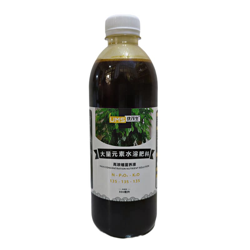 羽叶福禄桐盆栽绿植营养液