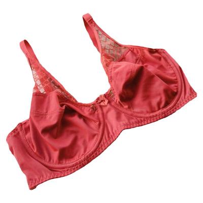 内衣外贸有钢圈大胸显小欧美