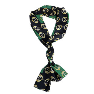 洋气黑绿色长条小丝巾百搭装饰职业领带式围巾新款春秋女士领巾