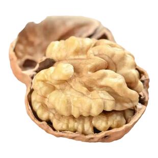 云南漾濞核桃2025新货薄壳薄皮纸皮野生老树麻子果原味干核桃