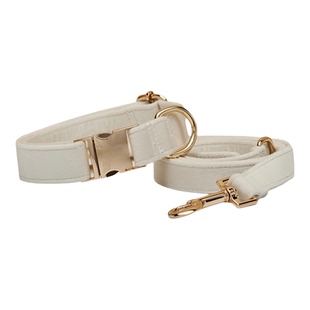 狗狗项圈中小型犬狗牌刻字狗脖圈狗绳牵引绳防丢宠物颈圈狗脖套