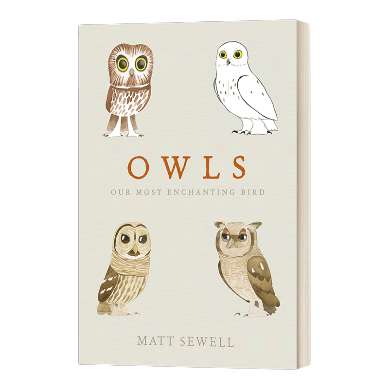 英文原版 Owls 我们迷人的鸟 猫头鹰科普绘本 马特·休厄尔 精装 英文版 进口英语原版书籍