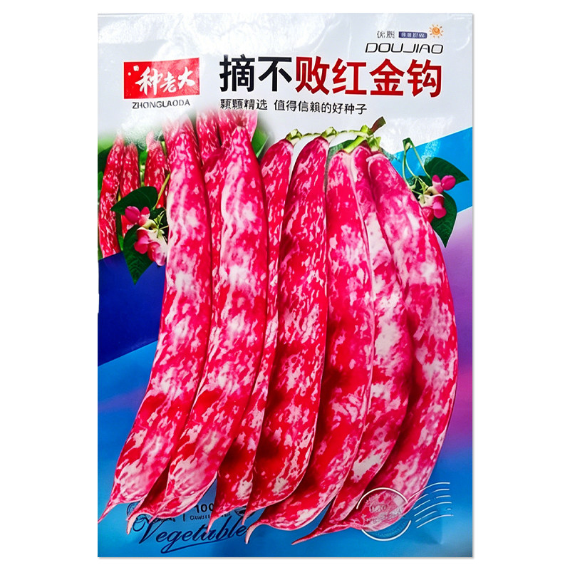 摘不败红金钩豆角种子