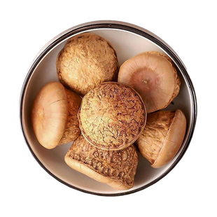 广西野生风流果正品石头果泡酒料马古叠胖头果厚鳞柯野生风流果