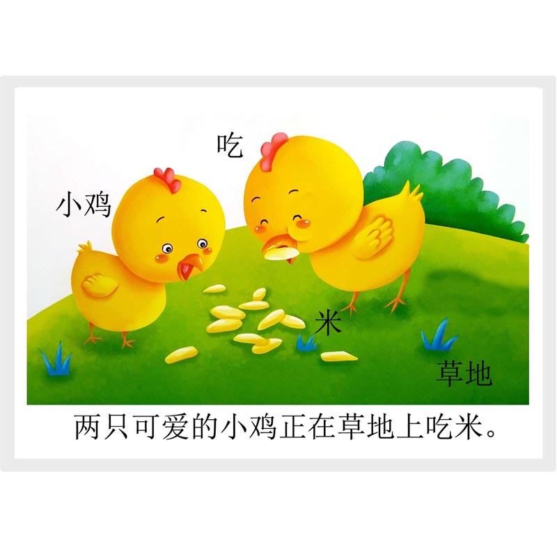 低幼儿童塑封玩具卡片内容丰富