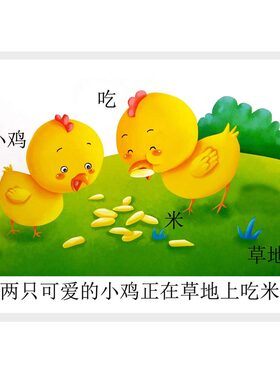 低幼儿童塑封玩具卡片内容丰富