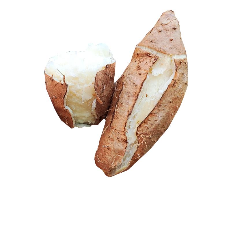 当季正宗新鲜毛薯淮山怀山药白心广东甜薯粉糯田薯茂名5斤包邮