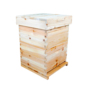 靳国宝中蜂蜂箱杉木双层标准蜂箱高箱全套蜂具蜜蜂蜂箱养蜂工具