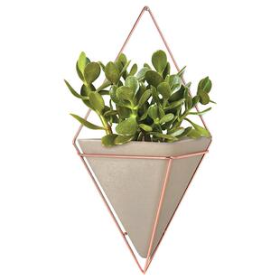 清仓 Umbra壁挂植物电视背景挂墙花盆绿植墙面ins风房间布置装饰