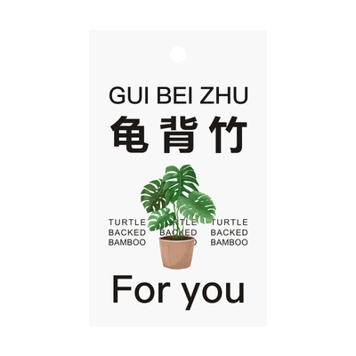 龟背竹盆栽绿植养护吊卡