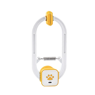 CatToyForExercise&Fun