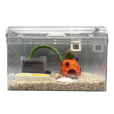 沃富寄居蟹亚克力全景新手饲养缸