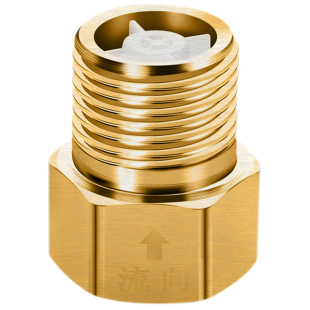 单向止回阀全铜马桶4分防反水卫生间水管止水阀防回水倒流止逆阀