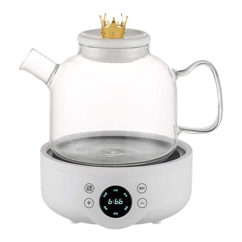 110V220V养生壶炖盅多功能玻璃煮茶器烧水壶养生杯花茶壶美规英规