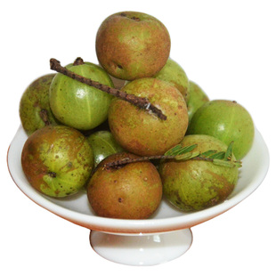 云南应季野生滇橄榄新鲜余甘果牛油柑果孕妇酸回甘余甘子现摘鲜果