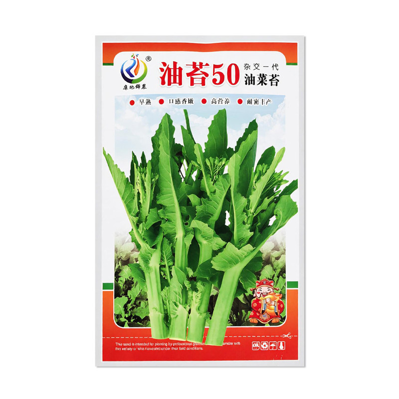 康地锦农油苔50油菜苔种子