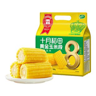 十月稻田黄糯玉米段东北低脂粘糯苞谷粗粮饱腹免切新鲜真空装轻食