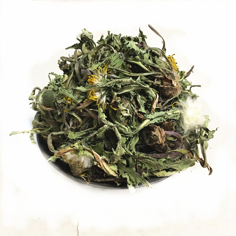 新鲜野生天然老根整颗带花蒲公英