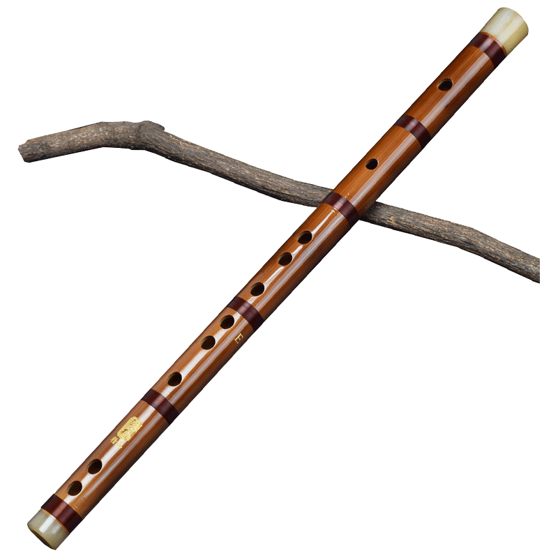 苦竹古风随身初学专业小乐器笛子