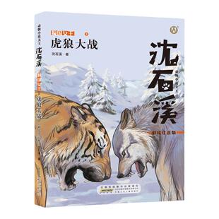 【虎狼大战】注音彩绘沈石溪动物小说大王系列 小学生一二三年级课外阅读 狼王梦姊妹篇故事书亲子阅读儿童文学沈石溪虎狼大战FB