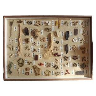 成品中药标本画展示框手工中药材装饰中医文化墙文创药食同源装裱