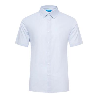 【易打理/抗皱/条纹】G2000男装2026春新款商务正装高级长袖衬衫.