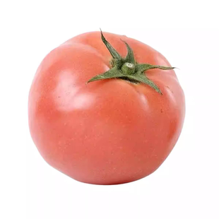 沙瓤西红柿种孑苗普罗旺斯番茄种子草莓圣女果籽盆栽蔬菜种子大全