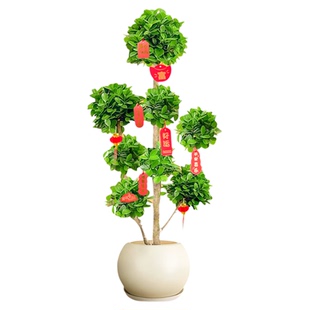 摇钱树盆栽金钱榕办公室大型发财树乔迁之喜室内客厅绿植招财榕树