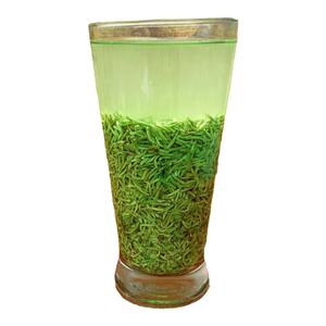 2024新茶叶信阳毛尖特级碎茶明前高山嫩芽茶末散装浓香口粮茶500g