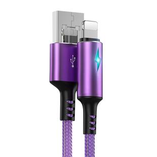 标域适用苹果iPhone14数据线xr/11充电器12mini线8p冲xsmax快充2米车载x发光7plus/13pro闪充2米加长usb耐