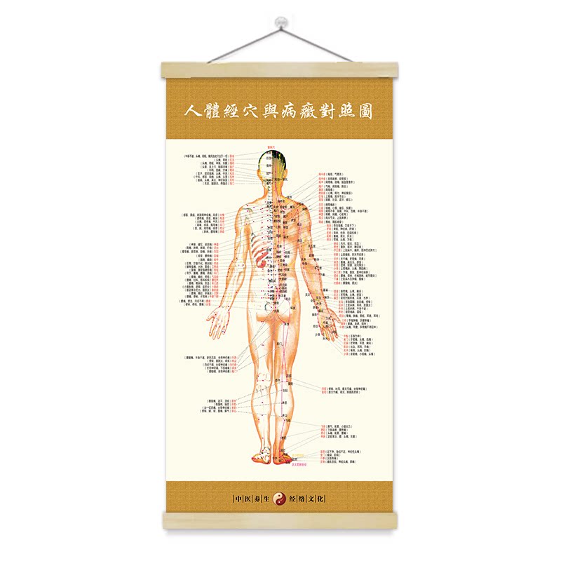 男性人体经络穴位图中医养生装饰挂画挂图挂布拔罐针灸按摩卷轴画