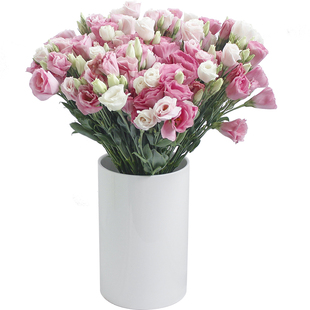 洋桔梗龙胆鲜花水养家用插花办公花束新鲜直批包邮北京同城可闪送