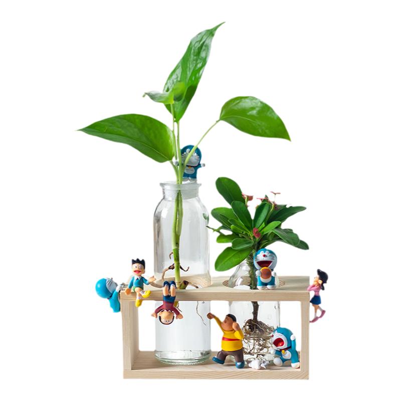 水培植物办公室绿植绿萝室内办公桌面绿植