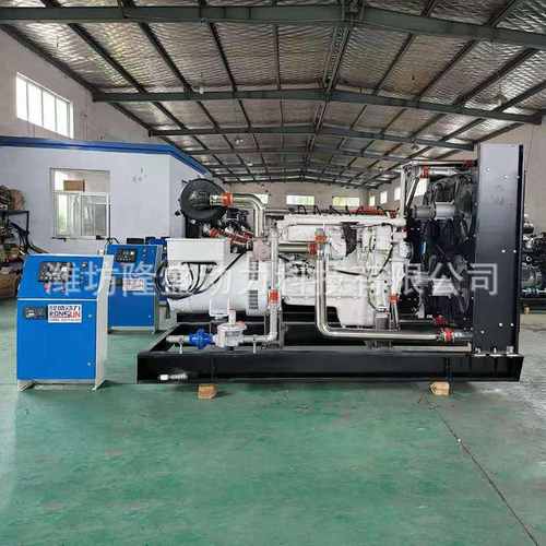 天燃气沼气250千瓦发电机组 垃圾处理用沼气发电机组 250KW发电机