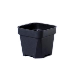 塑料方口花盆加厚超厚实耐用盆生石花番杏科仙人掌球兜鱼播种育苗