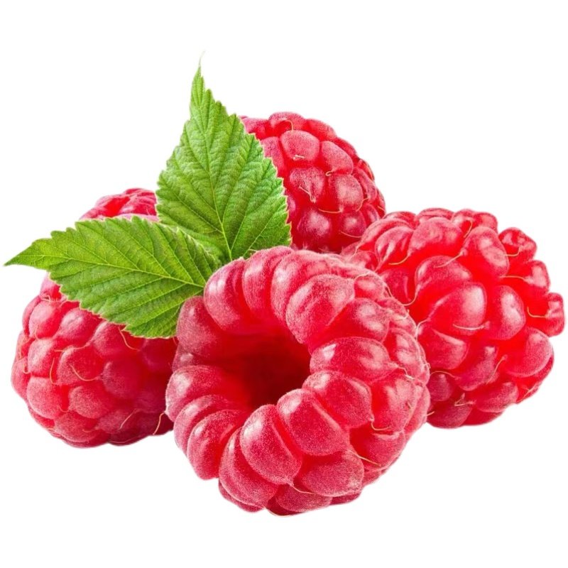 新鲜树莓树莓高档水果功效好营养
