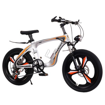 凤凰镁合金儿童自行车女孩