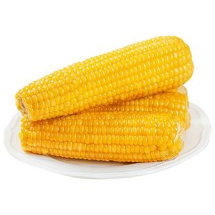穗康黄糯玉米新鲜糯玉米棒甜糯香10支粗粮整箱非转基因真空包装