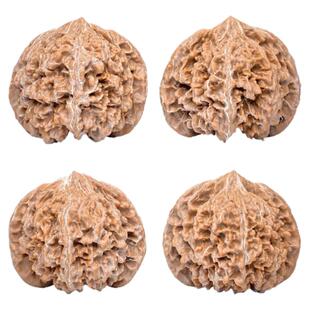 文玩核桃宫灯核桃一物一图A77966老树有修狮子头矮桩桃心闷尖43mm