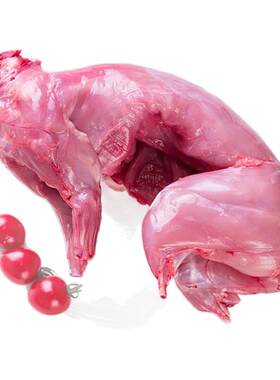 欧盟标准肉兔康大食品生鲜