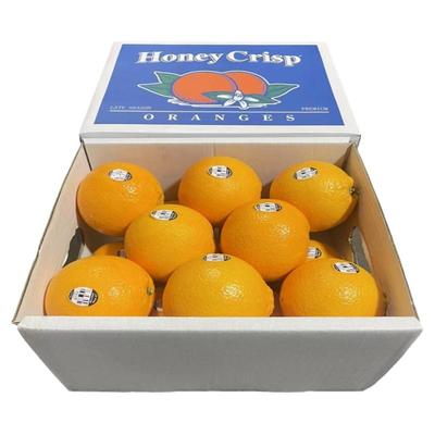 美国3107黑标脐橙子大果