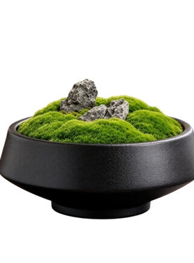 永生苔藓盆景新中式餐厅餐桌摆花