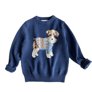 断码捡漏/就100码 男宝纯棉提花毛衣