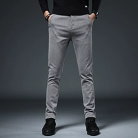 Светло -серая рутина