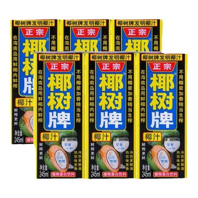 正宗椰树牌椰子汁植物蛋白饮料海南特产椰奶散装鲜果汁